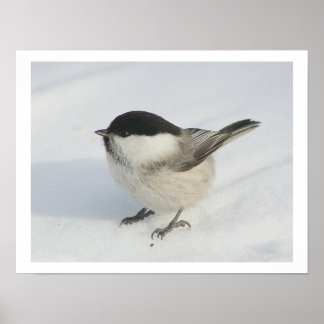 Chickadee in the Snow Poster (Front)