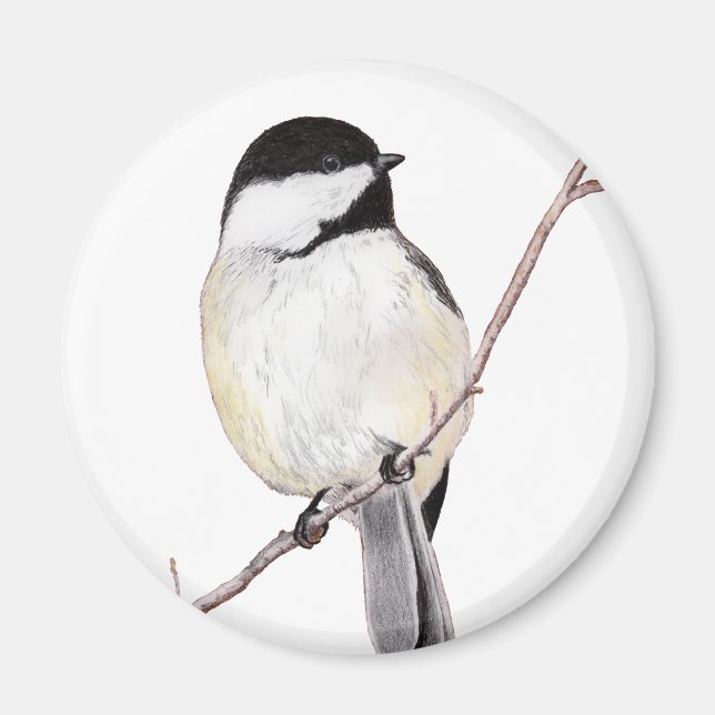 Chickadee Magnet (Front)