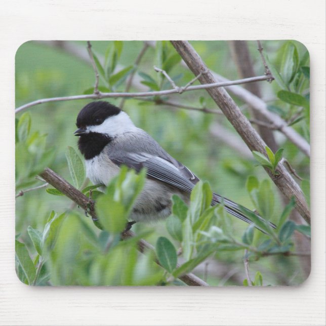 Chickadee Mouse Pad (Front)