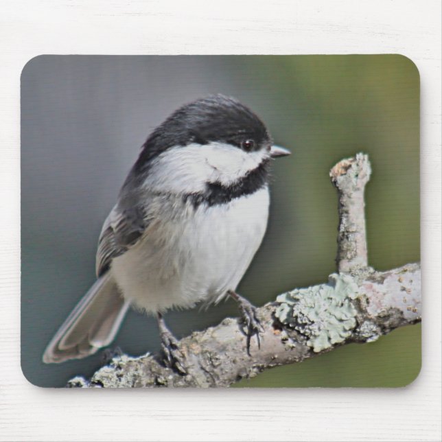 Chickadee Mouse Pad (Front)