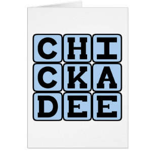 Chickadee, North American Bird