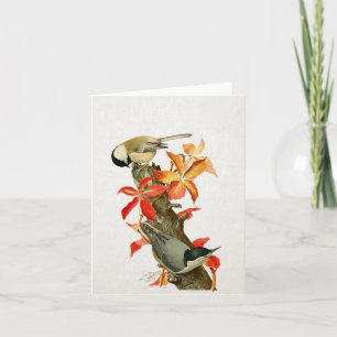 Chickadee Nuthatch Fall Folid Carte d'oiseaux Vint