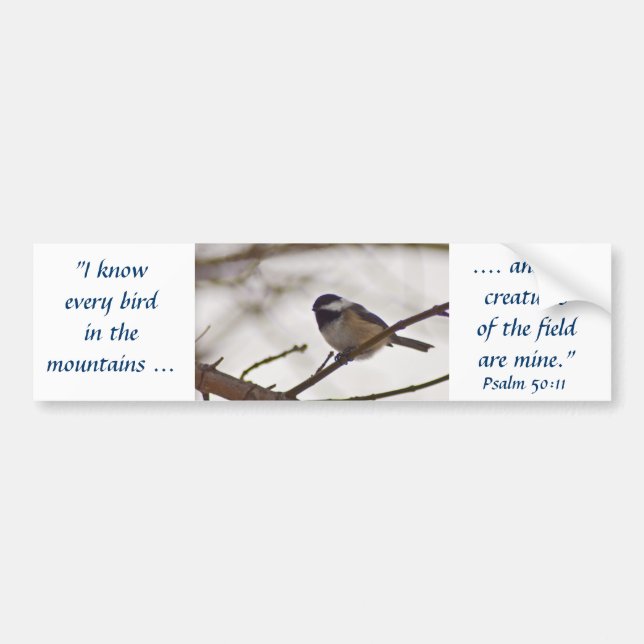Chickadee on a Twig Bumper Sticker (Front)