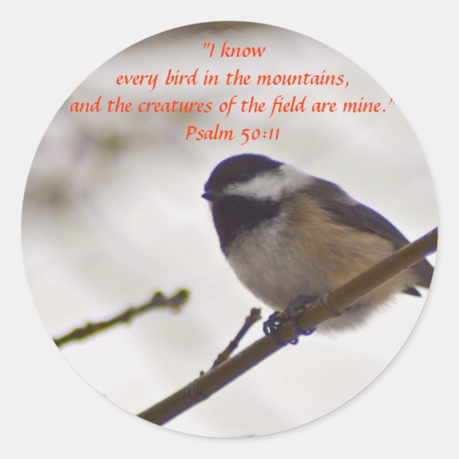 Chickadee on a Twig Classic Round Sticker (Front)