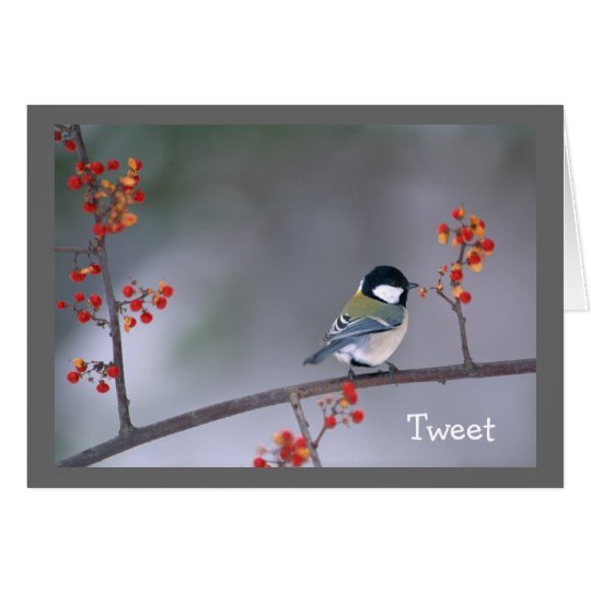 Chickadee on Bittersweet Note Card