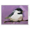 Chickadee on Purple