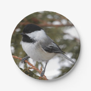 Chickadee Paper Plate