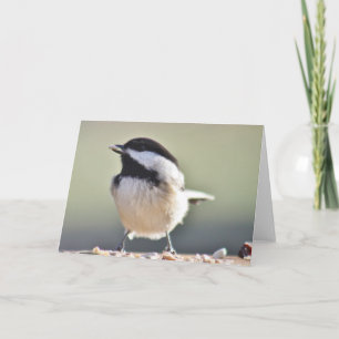 Chickadee photography card