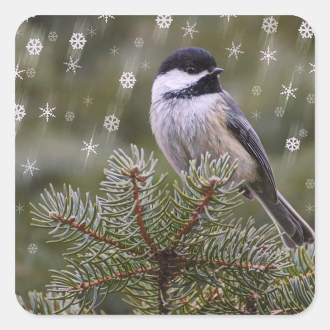 Chickadee Snow Flakes Pine Tree Winter Square Sticker (Front)