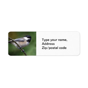 Chickadee sur une branche