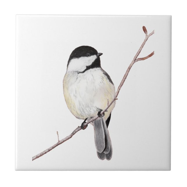 Chickadee Tile (Front)