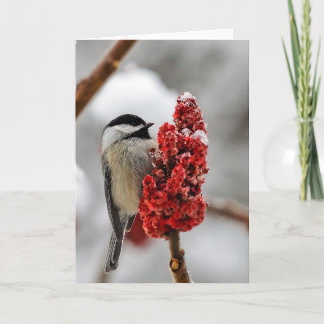 Chickadee Winter Holiday Greeting Card (Front)