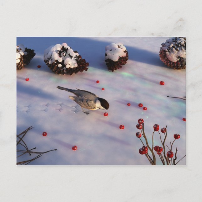 Chickadee Winter Postcard (Front)