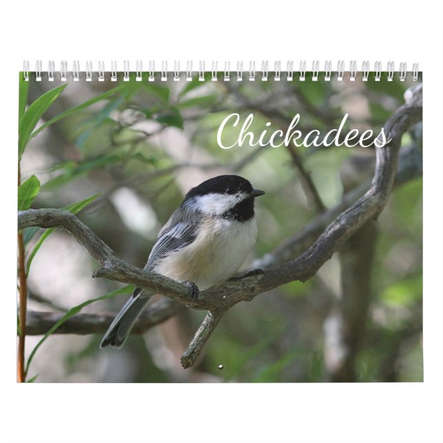 Chickadees Calendar (Cover)