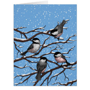 Chickadees in winter