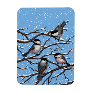 Chickadees in winter magnet