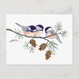 CHICKADEES & PINECONES by SHARON SHARPE Postcard