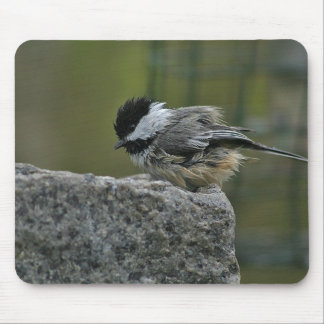 Chickdee taking bath mouse pad