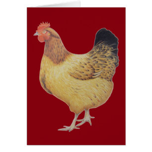 Chicken 2012