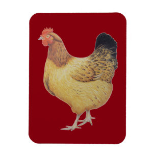 Chicken 2012 magnet