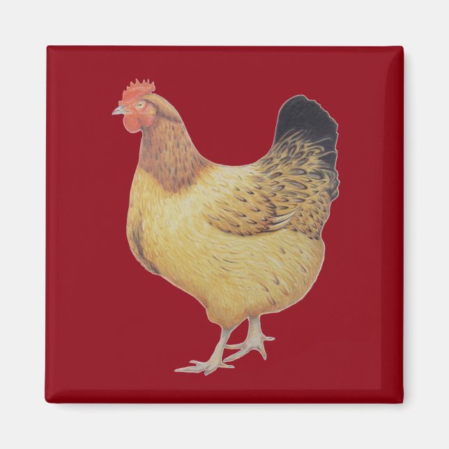 Chicken 2012 magnet (Front)