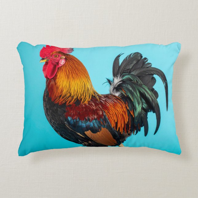 chicken accent pillow (Front)