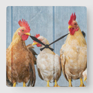 Chicken and Hens Square Wall Clock