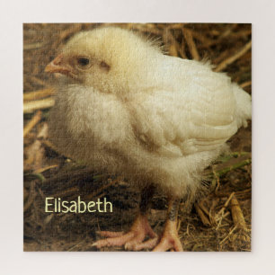 chicken, animal, chick, bird, farm, cute, puzzle, jigsaw puzzle