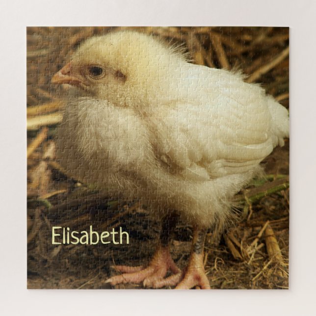 chicken, animal, chick, bird, farm, cute, puzzle,  jigsaw puzzle (Vertical)