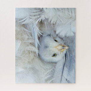 chicken, animal, chick, bird, farm,mask, cute, adu jigsaw puzzle