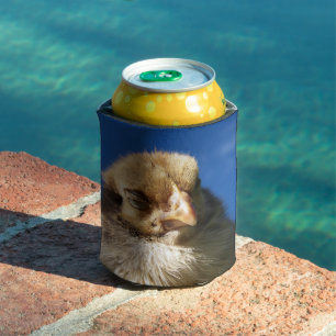 chicken, animal, chick, bird, farm,mask, cute,  can cooler