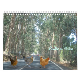 Chicken Calendar