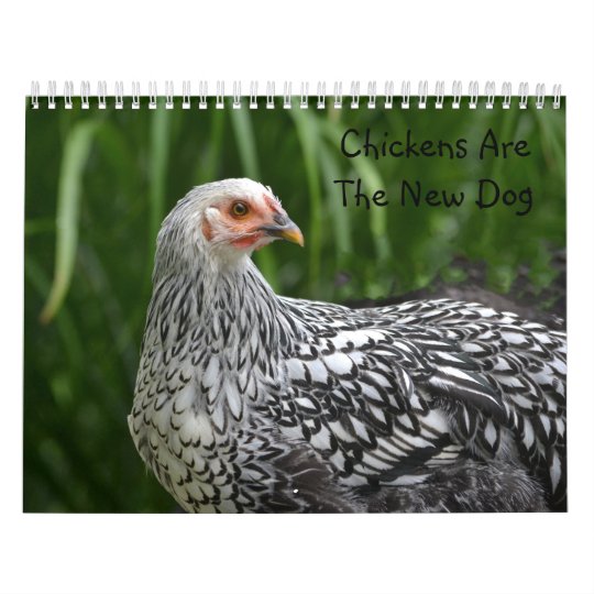 Chicken Calendar | Zazzle.ca