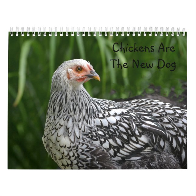 Chicken Calendar (Cover)