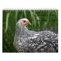 Chicken Calendar