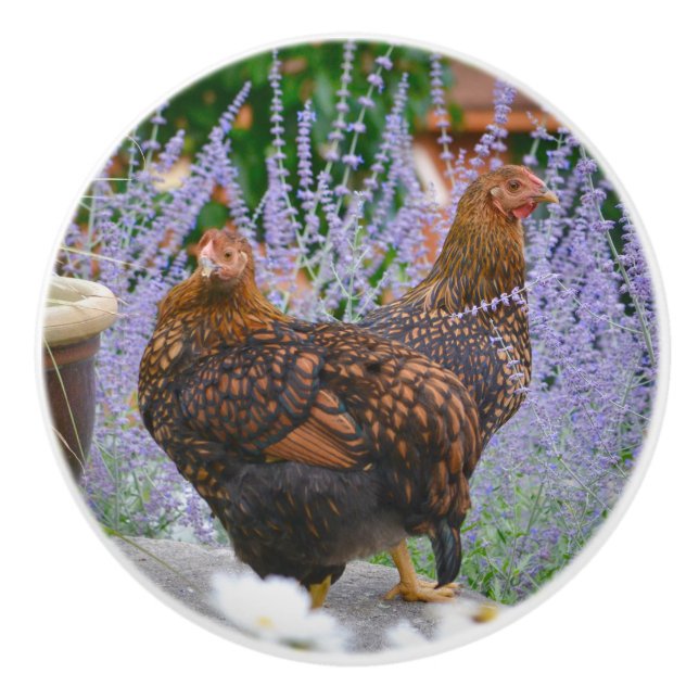 Chicken Ceramic Knob (Front)