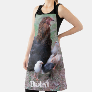 chicken, chicks, chickens, chick, animal, bird, apron