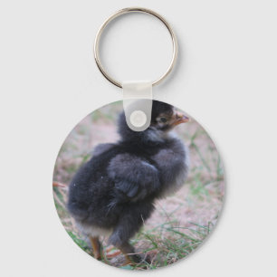 chicken, chicks, chickens, chick, animal, bird, keychain