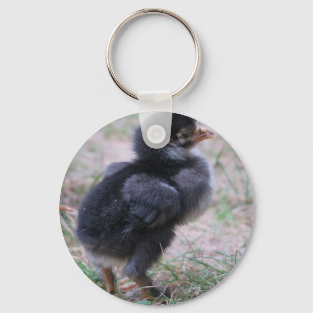 chicken, chicks, chickens, chick, animal, bird, keychain (Front)