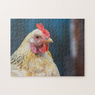 Chicken Close-Up Jigsaw Puzzle