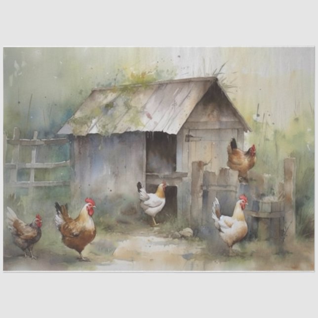 Chicken coop Tissue Paper (Front)