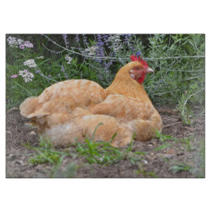 Chicken Cutting Board
