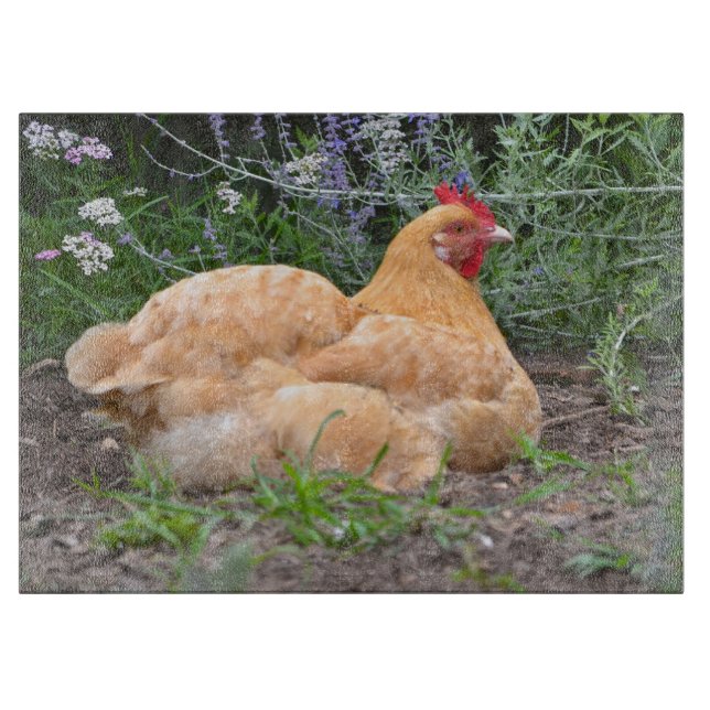 Chicken Cutting Board (Front)