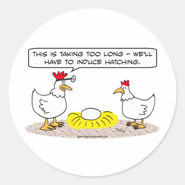 chicken doctor induce hatching egg classic round sticker (Front)
