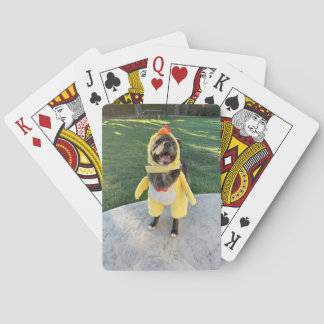 chicken dog playing cards