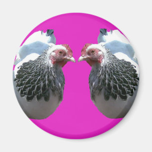 CHICKEN DUO ON MAGENTA MAGNET