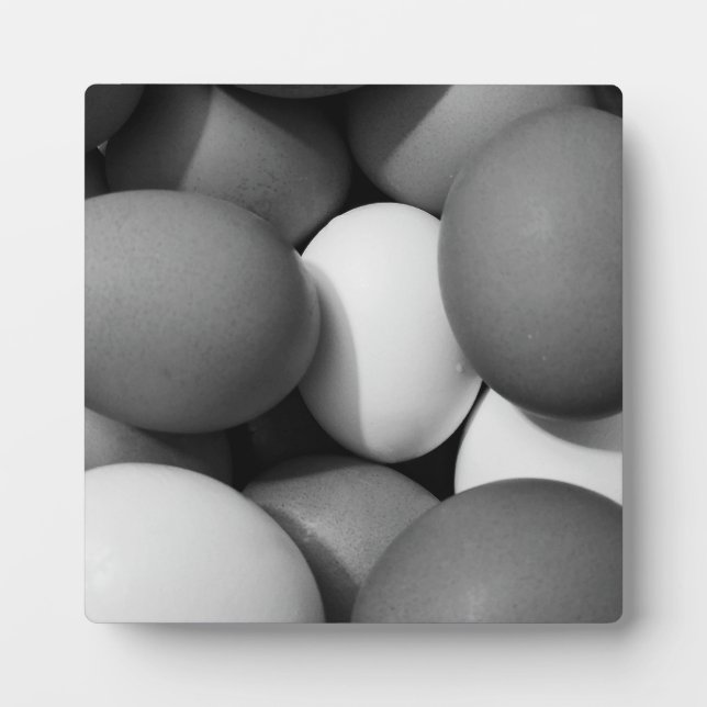 Chicken Eggs in Black and White Plaque (Front)