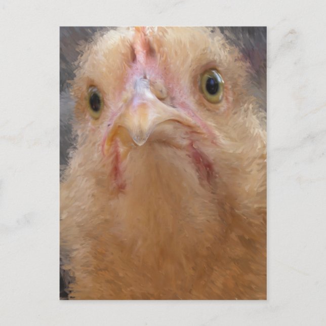 Chicken Face Postcard (Front)