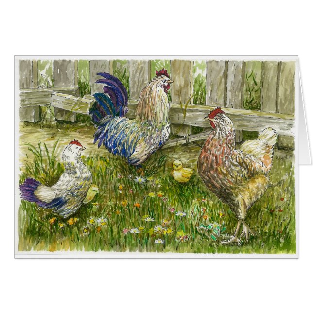 Chicken family (Front Horizontal)