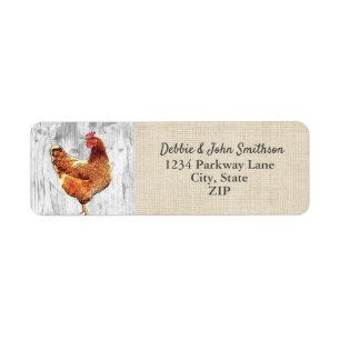 Chicken Farm sans portée Hobby Farm Adresse de ret